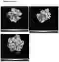 Fig. 142 - COMPOSITIONS AND METHODS FOR NUCLEIC ACID AND/OR PROTEIN PAYLOAD DELIVERY