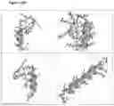 Fig. 152 - COMPOSITIONS AND METHODS FOR NUCLEIC ACID AND/OR PROTEIN PAYLOAD DELIVERY