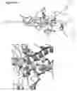 Fig. 153 - COMPOSITIONS AND METHODS FOR NUCLEIC ACID AND/OR PROTEIN PAYLOAD DELIVERY