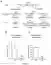 Fig. 02 - Gene-therapy vectors for treating cardiomyopathy
