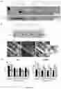Fig. 06 - Gene-therapy vectors for treating cardiomyopathy