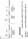 Fig. 03 - METHOD FOR ACETATE CONSUMPTION DURING ETHANOLIC FERMENTATION OF CELLULOSIC FEEDSTOCKS