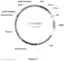 Fig. 02 - METHOD FOR INCREASING THE PRODUCTION OF ETHANOL FROM CORN FIBER IN A STARCH HYDROLYSIS PROCESS