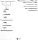 Fig. 03 - Microbes and methods for improved conversion of a feedstock