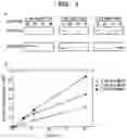 Fig. 05 - Recombinant microorganism and method for production of formic acid by using same