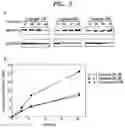 Fig. 06 - Recombinant microorganism and method for production of formic acid by using same