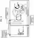 Fig. 09 - Recombinant microorganism and method for production of formic acid by using same