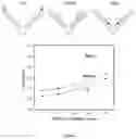 Fig. 08 - Molecular sensors and uses thereof