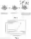Fig. 05 - Nucleic acid hybridization assay