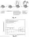 Fig. 13 - Nucleic acid hybridization assay