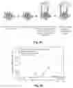 Fig. 16 - Nucleic acid hybridization assay