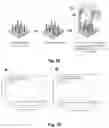 Fig. 19 - Nucleic acid hybridization assay