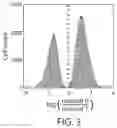 Fig. 07 - Systems and methods for high-throughput image-based screening