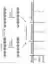 Fig. 04 - Methods for Detection of Nucleotide Modification