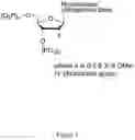 Fig. 02 - Photoactive compounds and methods for biomolecule detection and sequencing