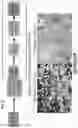 Fig. 04 - Method for generating retinal pigment epithelium (RPE) cells from induced pluripotent stem cells (IPSCs)