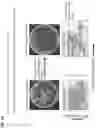 Fig. 19 - Method for generating retinal pigment epithelium (RPE) cells from induced pluripotent stem cells (IPSCs)