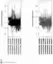 Fig. 10 - Methods for identification, assessment, prevention, and treatment of cancer using PD-L1 isoforms