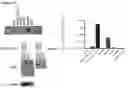 Fig. 21 - Methods for identification, assessment, prevention, and treatment of cancer using PD-L1 isoforms