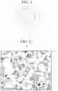 Fig. 02 - Heat-resistant sintered material having excellent high-temperature wear resistance and salt damage resistance and method for producing same