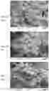 Fig. 03 - High-temperature component and method for producing a high-temperature component