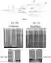 Fig. 08 - Gap-fill with aluminum-containing films