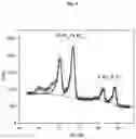 Fig. 07 - A METHOD OF ELECTROLESS DEPOSITION OF PLATINUM GROUP METALS AND THEIR ALLOYS AND A PLATING BATH USED THEREIN