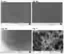 Fig. 09 - A METHOD OF ELECTROLESS DEPOSITION OF PLATINUM GROUP METALS AND THEIR ALLOYS AND A PLATING BATH USED THEREIN
