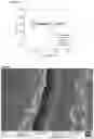 Fig. 11 - A METHOD OF ELECTROLESS DEPOSITION OF PLATINUM GROUP METALS AND THEIR ALLOYS AND A PLATING BATH USED THEREIN