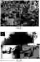 Fig. 07 - Method of producing graphene