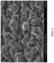 Fig. 07 - Micro-roughened electrodeposited copper foil and copper foil substrate