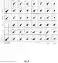Fig. 17 - High-throughput immune sequencing