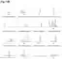 Fig. 23 - High-throughput immune sequencing