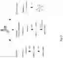 Fig. 43 - High-throughput immune sequencing