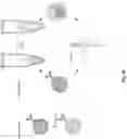 Fig. 44 - High-throughput immune sequencing