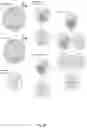 Fig. 45 - High-throughput immune sequencing