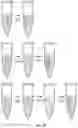 Fig. 46 - High-throughput immune sequencing