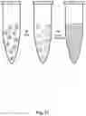 Fig. 49 - High-throughput immune sequencing