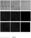Fig. 71 - High-throughput immune sequencing