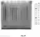 Fig. 81 - High-throughput immune sequencing