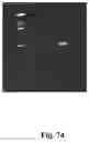 Fig. 90 - High-throughput immune sequencing