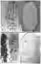Fig. 05 - Method for isolating alpha cellulose from lignocellulosic materials
