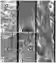 Fig. 07 - Method for isolating alpha cellulose from lignocellulosic materials