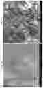 Fig. 08 - Method for isolating alpha cellulose from lignocellulosic materials