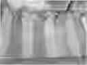 Fig. 01 - COMPOSITION COMPRISING CULTIVATED MICROALGAE FOR USE IN COLORING PROCESSES
