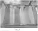 Fig. 02 - COMPOSITION COMPRISING CULTIVATED MICROALGAE FOR USE IN COLORING PROCESSES