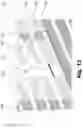 Fig. 16 - Wind protection device for a building