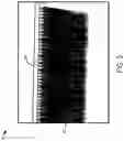 Fig. 06 - Gutter cover system