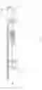 Fig. 04 - Block and tackle window blind