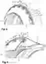 Fig. 07 - Aircraft turbine engine with reduction gear